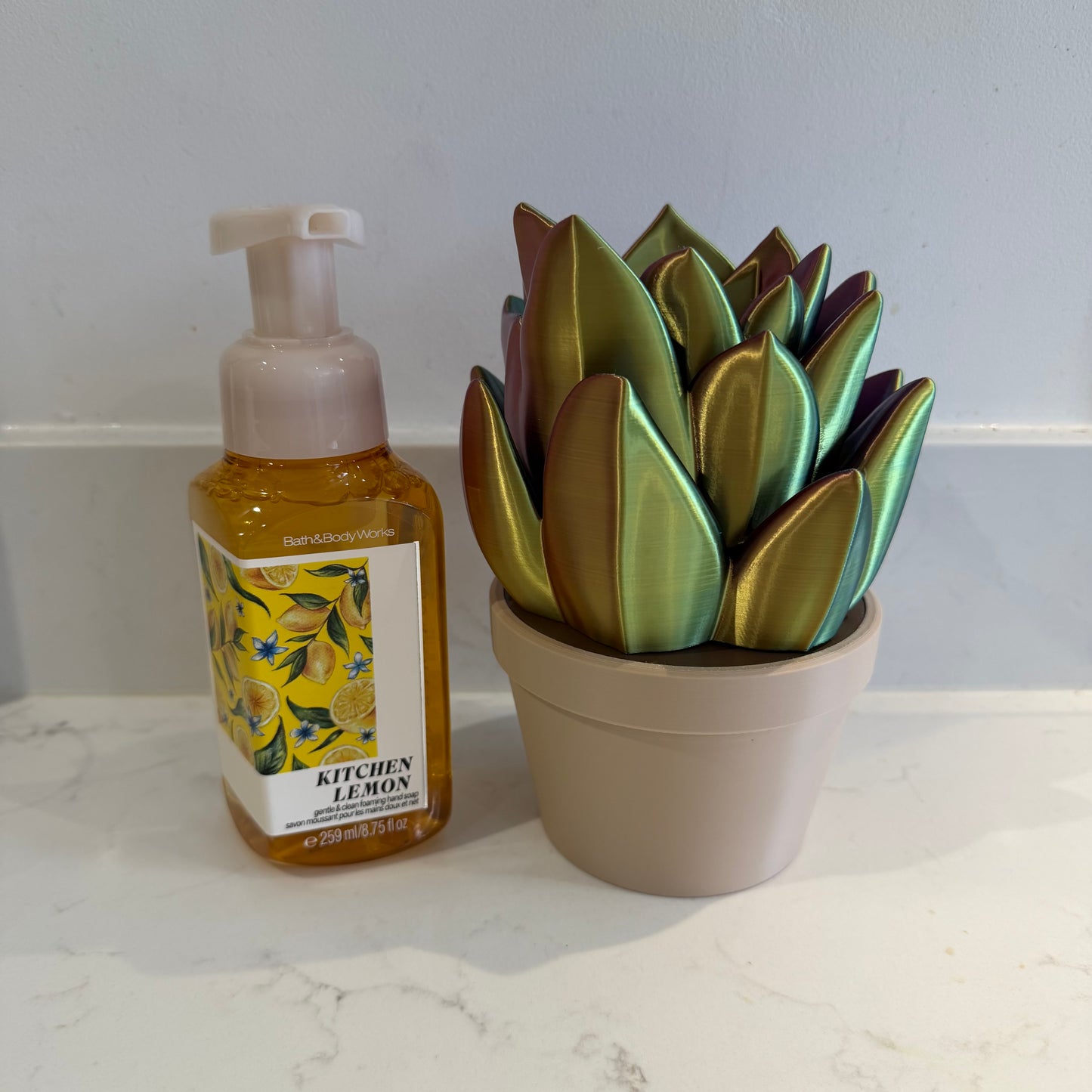 BBW Plant Foaming Soap Holder